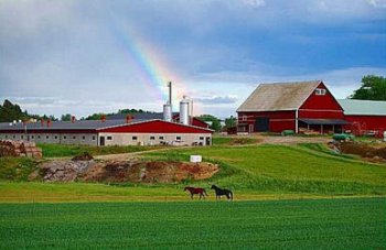 瑞典的語言是什么