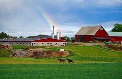 瑞典的語言是什么