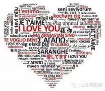 西班牙語是世界第幾大語言