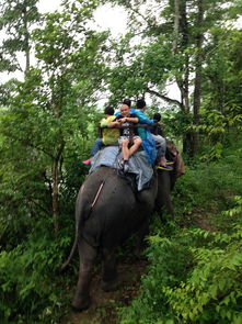 尼泊爾雨季是什么時(shí)候