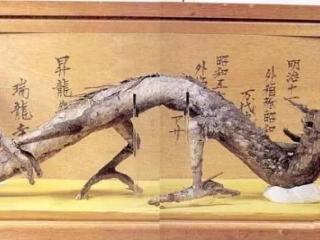日本的龍標(biāo)本