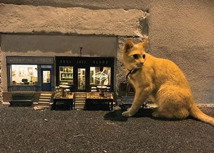 馬恩島是哪個國家