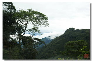 嘉義市屬于哪個省