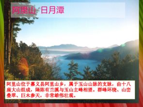 嘉義市屬于哪個省