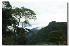 嘉義市屬于哪個省