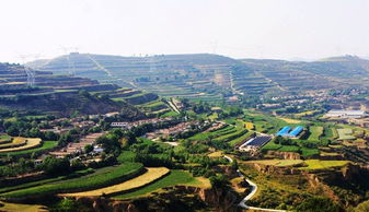 定西是哪個省的城市