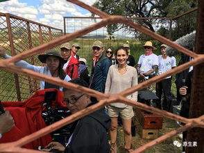 中國去非洲打工安全嗎