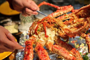 智利帝王蟹多少錢一斤