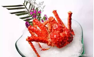 智利帝王蟹多少錢一斤