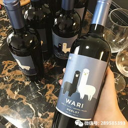 智利羊駝紅酒怎么樣