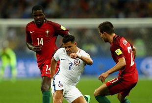 智利語(yǔ)言是什么