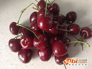 智利車厘子什么時候上市