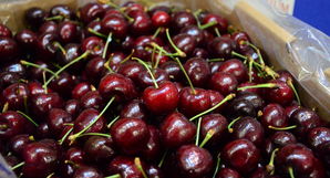 智利車厘子什么時候上市