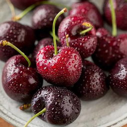 智利車厘子什么時候上市