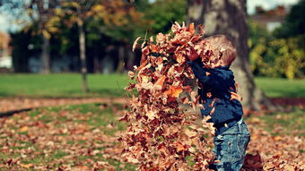 楓樹嶺國際學校學費是多少