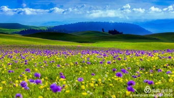 阿克塔斯風景區在哪里