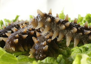 巴基斯坦特產有哪些值得買的