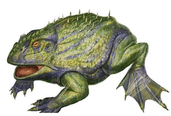 世界上最大的青蛙,魔鬼蛙恐怖至極