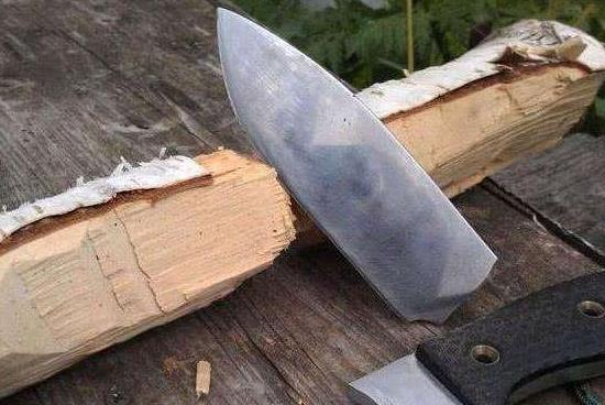 世界最硬的木頭,鐵樺樹可擋子彈