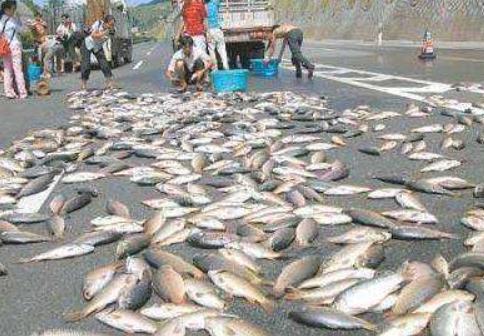 史上最詭異的天氣，空中降魚是真實的自然現象