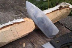 世界最硬的木頭,鐵樺樹可