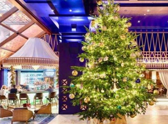 世界上最貴的圣誕樹，掛滿鉆石價值1190萬