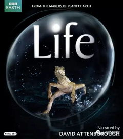 肯尼亞說什么語言