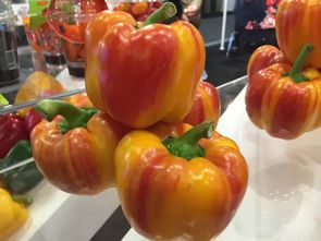 荷蘭的特產是什么