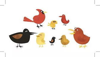 杜鵑鳥為什么不做窩