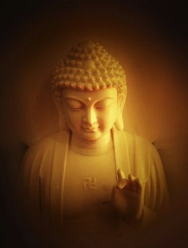 蜉蝣為什么要比喻愛情