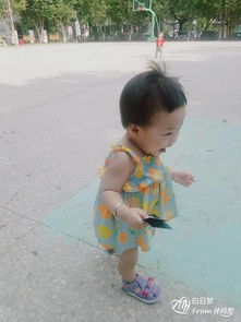 趕鴨子上架的意思是什么