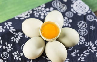 鴿子蛋多少錢(qián)一個(gè)