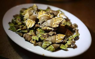 鵝頸藤壺多少錢一斤