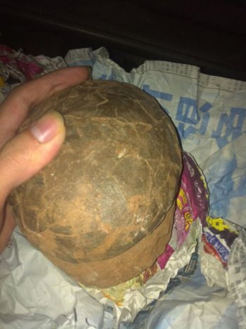 黑市恐龍蛋多少錢一個