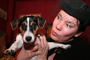 黑蛇白蛇眼鏡蛇是誰說的