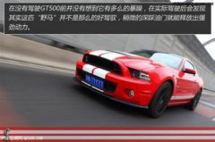 福特眼鏡蛇多少錢一輛