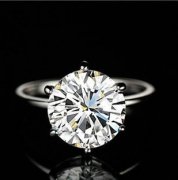 鴿子蛋多少錢一個