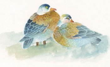 戴勝鳥吉祥還是不吉祥