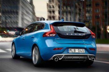 如何找到衣魚蟲的窩