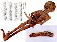 水猴子為什么要拉人