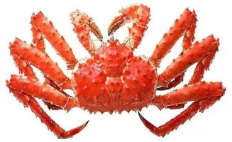 蝙蝠屎和老鼠屎怎么認