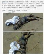 水猴子為什么要拉人