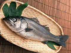 鱸魚不能和什么一起吃