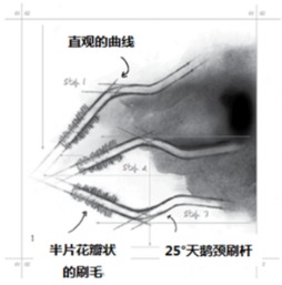 天鵝頸是什么樣的標(biāo)準(zhǔn)