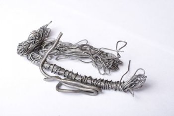 鐵線蟲(chóng)會(huì)寄生在人體嗎