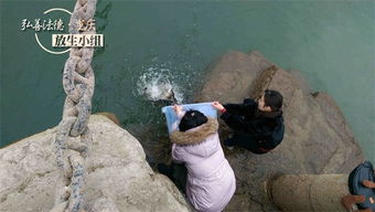 黃鱔晚上幾點出來活動