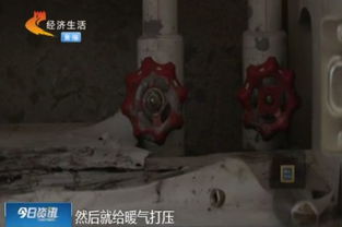 家里蛾子多怎么找源頭