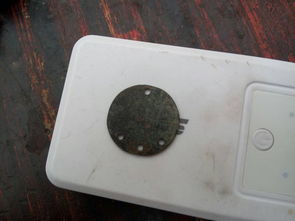 撿到刺猬是吉是兇