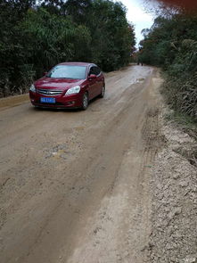 撿到刺猬是吉是兇