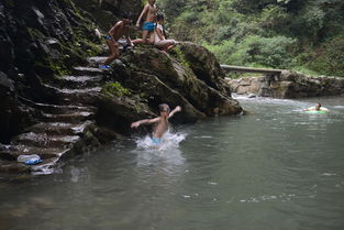 看見戴勝鳥預(yù)示著什么